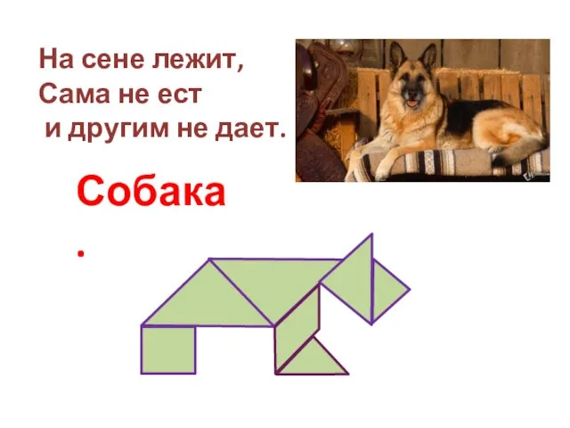 На сене лежит, Сама не ест и другим не дает. Собака.