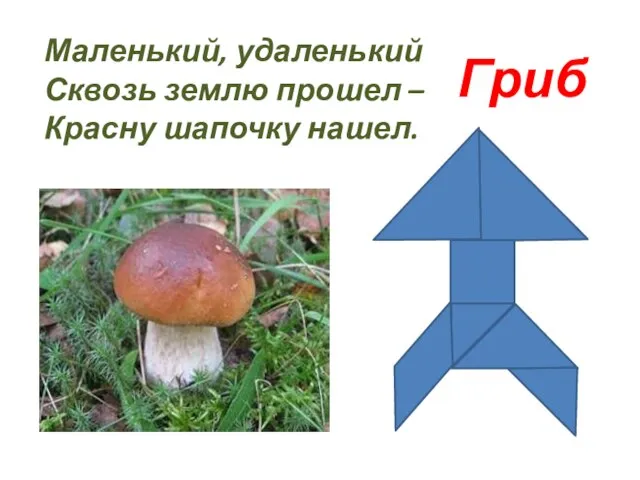 Маленький, удаленький Сквозь землю прошел – Красну шапочку нашел. Гриб.