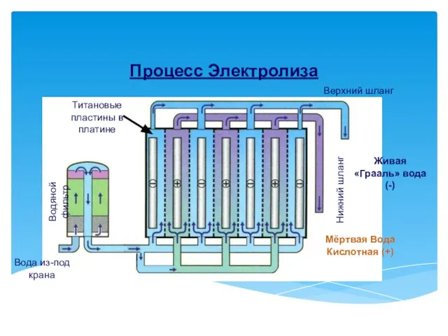 Процесс Электролиза Вода из-под крана Водянoй фильтр Верхний шланг Нижний шланг Живая