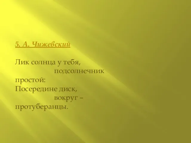 5. А. Чижевский Лик солнца у тебя, подсолнечник простой: Посередине диск, вокруг – протуберанцы.