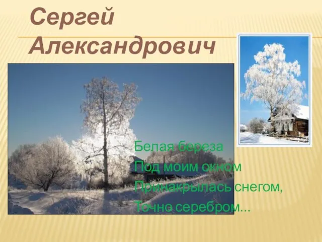 Сергей Александрович Есенин Белая береза Под моим окном Принакрылась снегом, Точно серебром…