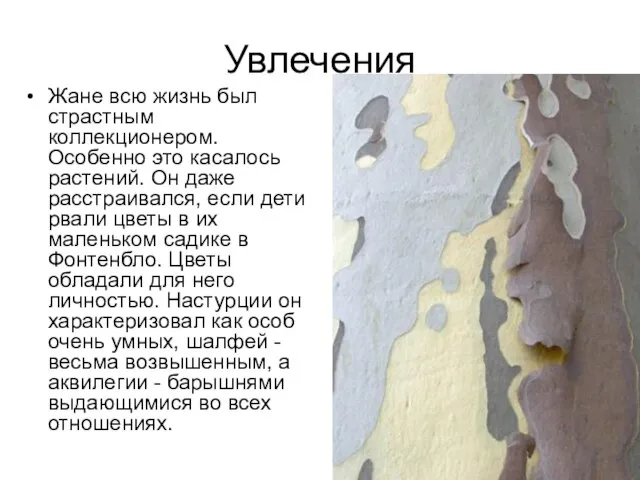 Увлечения Жане всю жизнь был страстным коллекционером. Особенно это касалось растений. Он