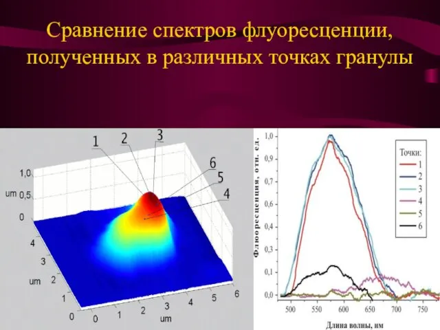 Сравнение спектров флуоресценции, полученных в различных точках гранулы