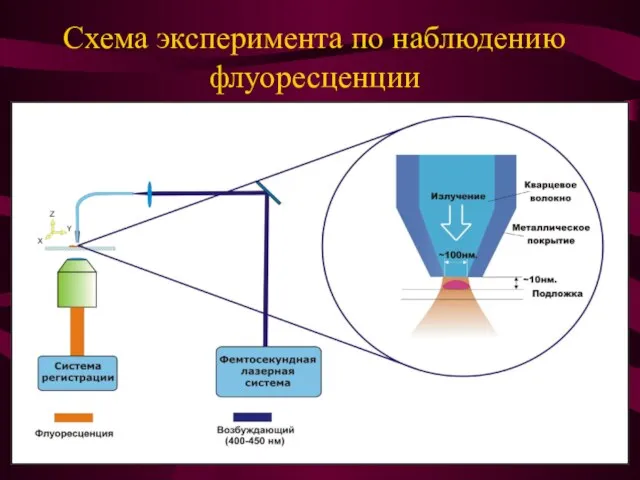 Схема эксперимента по наблюдению флуоресценции