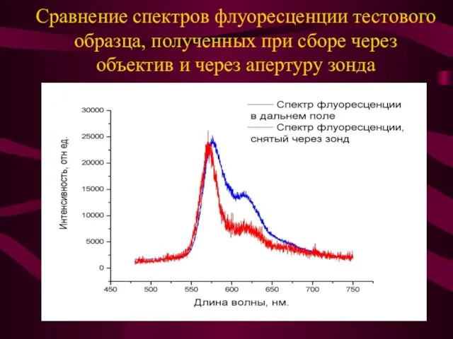 Сравнение спектров флуоресценции тестового образца, полученных при сборе через объектив и через апертуру зонда