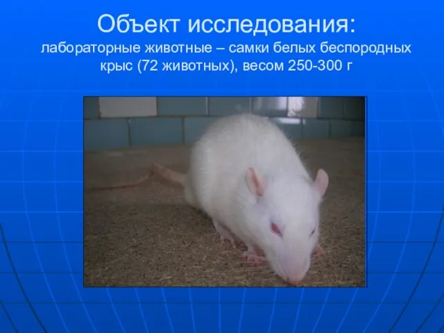Объект исследования: лабораторные животные – самки белых беспородных крыс (72 животных), весом 250-300 г
