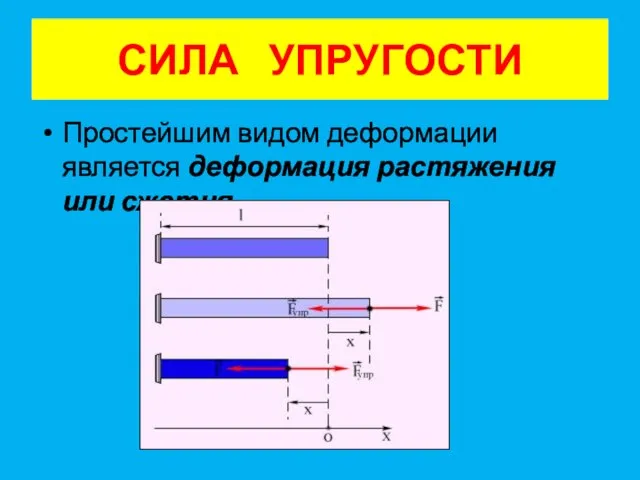 Простейшим видом деформации является деформация растяжения или сжатия СИЛА УПРУГОСТИ