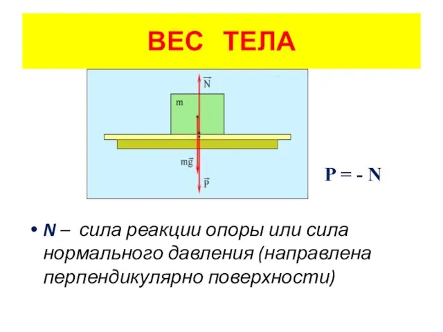 P = - N N – сила реакции опоры или сила нормального