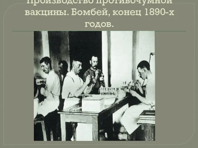 Производство противочумной вакцины. Бомбей, конец 1890-х годов.