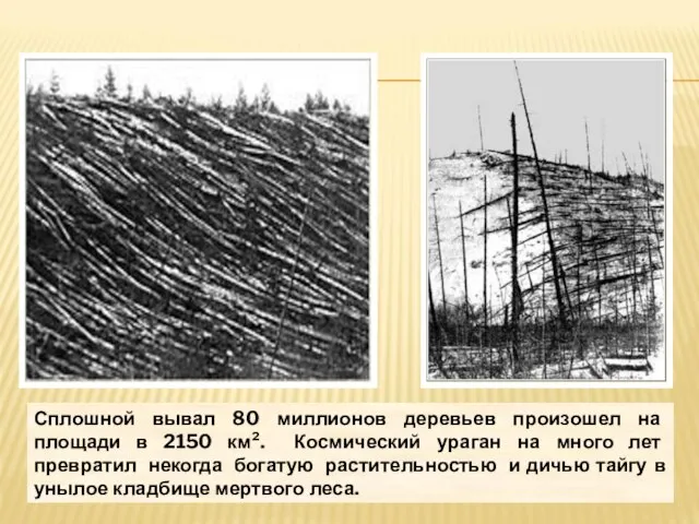 Сплошной вывал 80 миллионов деревьев произошел на площади в 2150 км². Космический