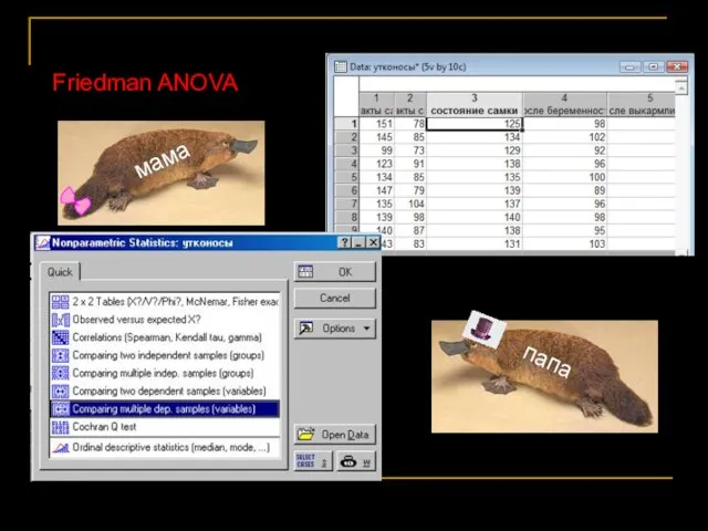 Friedman ANOVA