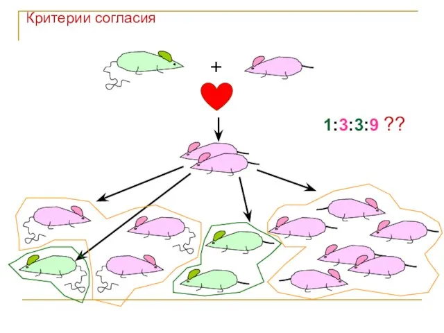 + 1:3:3:9 ?? Критерии согласия