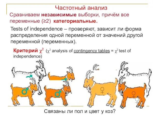 Сравниваем независимые выборки, причём все переменные (≥2) категориальные. ♂ Связаны ли пол