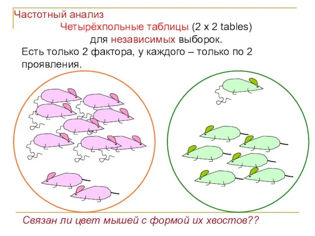 Четырёхпольные таблицы (2 x 2 tables) для независимых выборок. Есть только 2