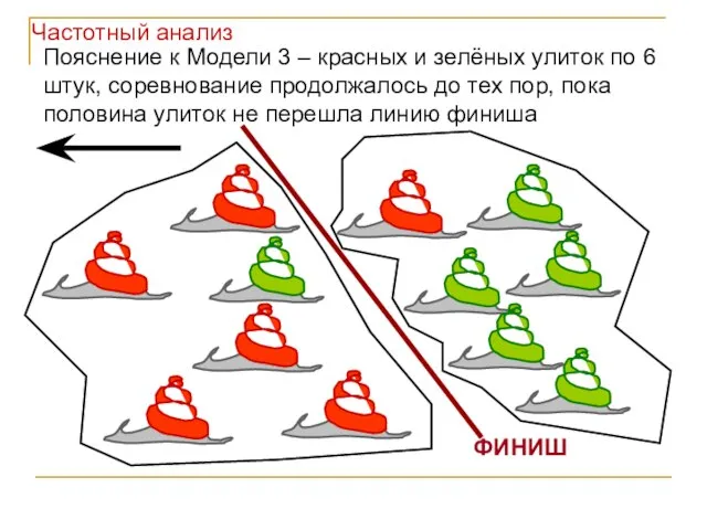 ФИНИШ Пояснение к Модели 3 – красных и зелёных улиток по 6