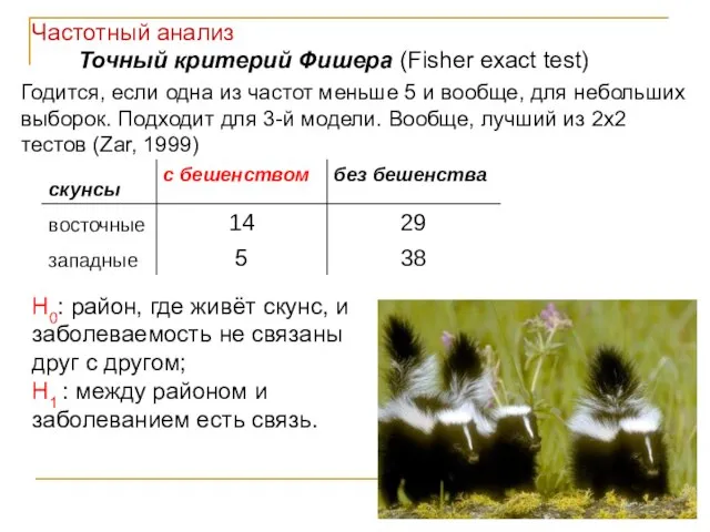 Точный критерий Фишера (Fisher exact test) Годится, если одна из частот меньше