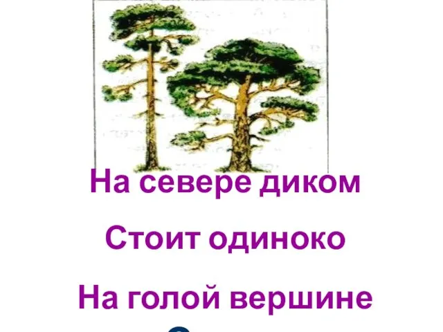 На севере диком Стоит одиноко На голой вершине Сосна