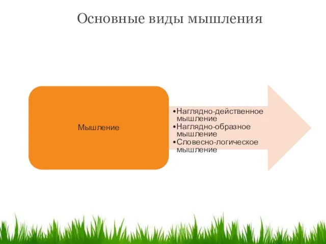 Основные виды мышления Мышление Наглядно-действенное мышление Наглядно-образное мышление Словесно-логическое мышление