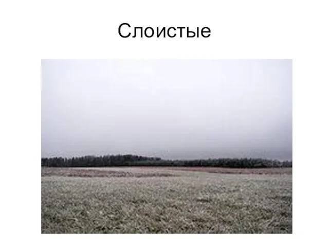 Слоистые