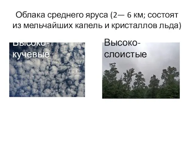 Облака среднего яруса (2— 6 км; состоят из мельчайших капель и кристаллов льда) Высоко-кучевые Высоко-слоистые