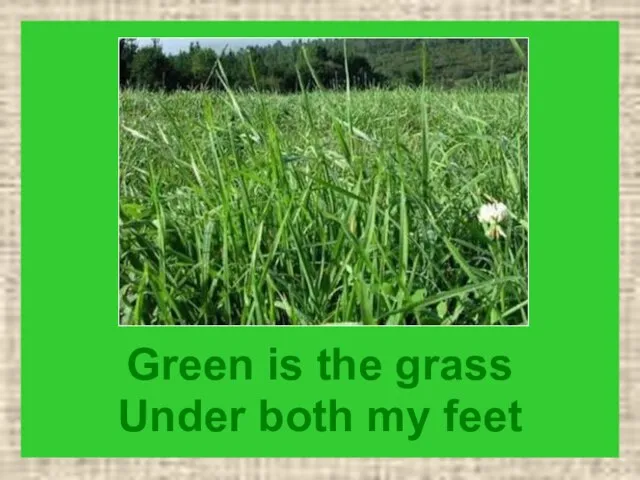 Green is the grass Under both my feet