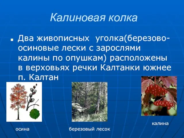 Калиновая колка Два живописных уголка(березово-осиновые лески с зарослями калины по опушкам) расположены