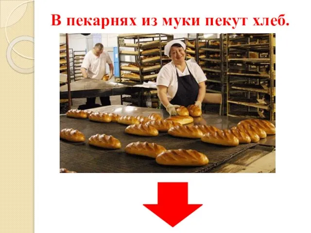 В пекарнях из муки пекут хлеб.