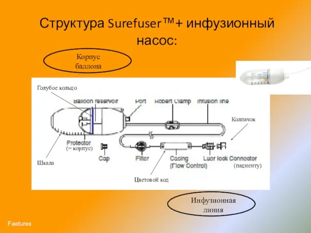 Структура Surefuser™+ инфузионный насос: Корпус баллона Инфузионная линия (= корпус) (пациенту) Колпачок