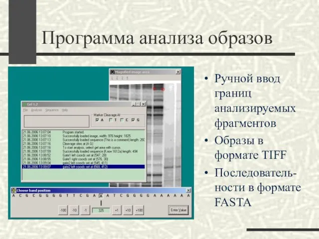 Программа анализа образов Ручной ввод границ анализируемых фрагментов Образы в формате TIFF Последователь-ности в формате FASTA