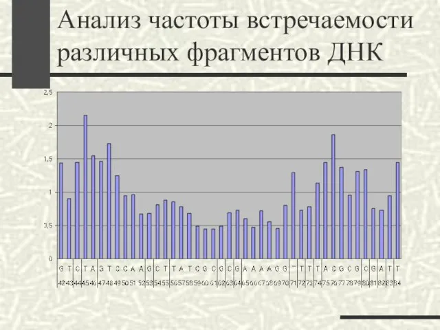 Анализ частоты встречаемости различных фрагментов ДНК