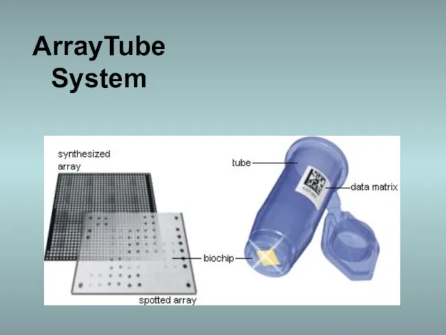 ArrayTube System