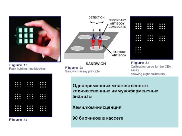 Одновременные множественные количественные иммуноферментные анализы Хемилюминисценция 90 биочипов в кассете