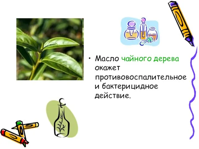 Масло чайного дерева окажет противовоспалительное и бактерицидное действие.