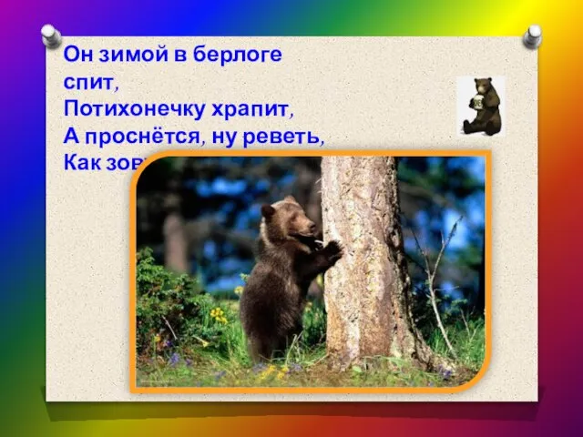 Он зимой в берлоге спит, Потихонечку храпит, А проснётся, ну реветь, Как зовут его ?