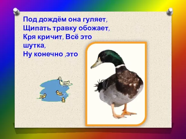 Под дождём она гуляет, Щипать травку обожает, Кря кричит, Всё это шутка, Ну конечно ,это