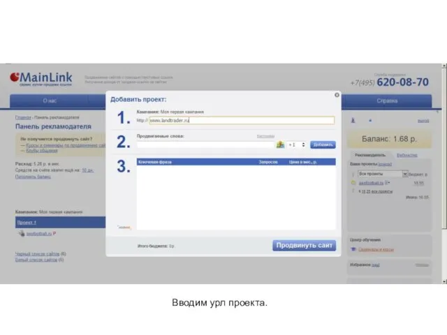 Вводим урл проекта.