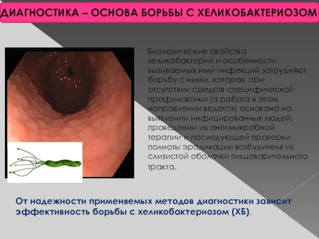 ДИАГНОСТИКА – ОСНОВА БОРЬБЫ С ХЕЛИКОБАКТЕРИОЗОМ Биологические свойства хеликобактерий и особенности вызываемых