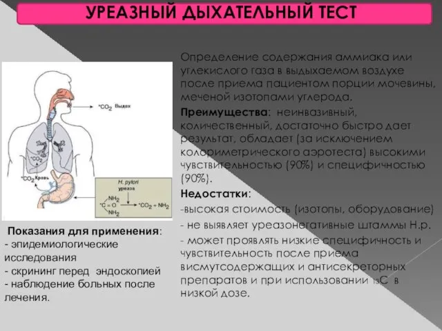 УРЕАЗНЫЙ ДЫХАТЕЛЬНЫЙ ТЕСТ Определение содержания аммиака или углекислого газа в выдыхаемом воздухе