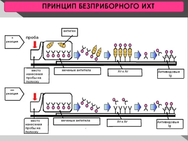 ПРИНЦИП БЕЗПРИБОРНОГО ИХТ