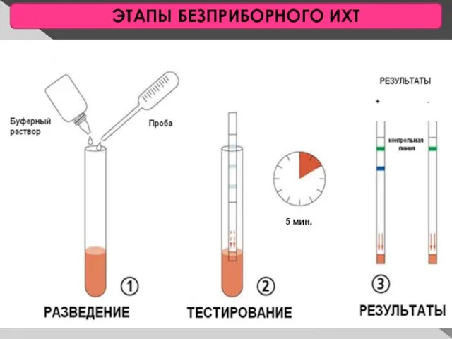 ЭТАПЫ БЕЗПРИБОРНОГО ИХТ