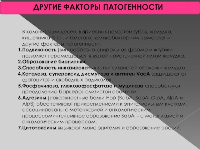 ДРУГИЕ ФАКТОРЫ ПАТОГЕННОСТИ В колонизации десен, кариесных полостей зубов, желудка, кишечника (в