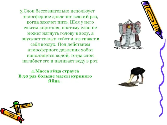 3.Слон бессознательно использует атмосферное давление всякий раз, когда захочет пить. Шея у