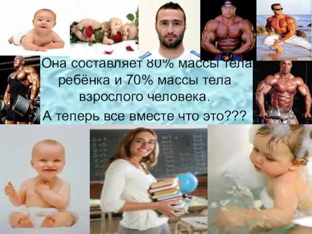 Она составляет 80% массы тела ребёнка и 70% массы тела взрослого человека.