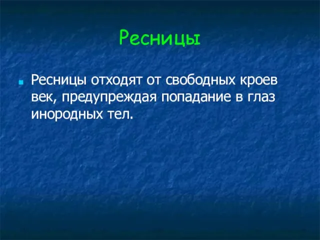 Ресницы Ресницы отходят от свободных кроев век, предупреждая попадание в глаз инородных тел.