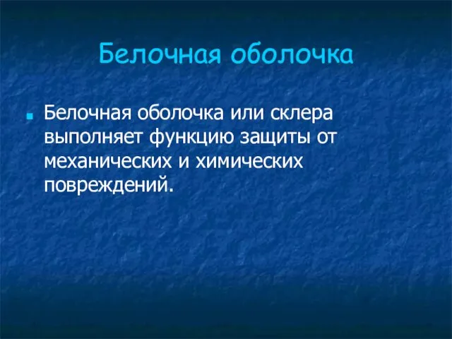 Белочная оболочка Белочная оболочка или склера выполняет функцию защиты от механических и химических повреждений.