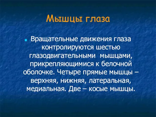 Мышцы глаза Вращательные движения глаза контролируются шестью глазодвигательными мышцами, прикрепляющимися к белочной