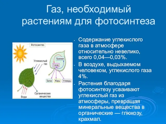 Газ, необходимый растениям для фотосинтеза Содержание углекислого газа в атмосфере относительно невелико,