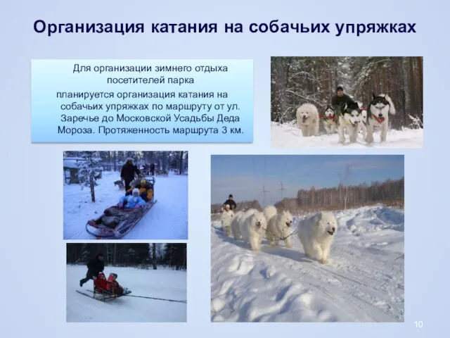 Для организации зимнего отдыха посетителей парка планируется организация катания на собачьих упряжках