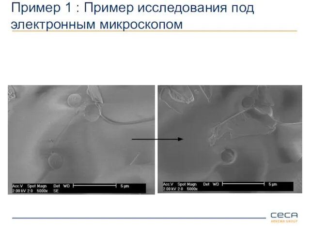 Пример 1 : Пример исследования под электронным микроскопом