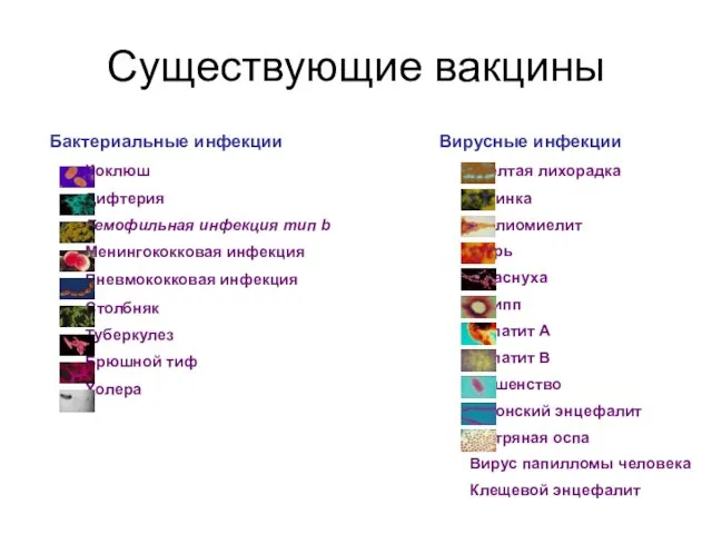 Бактериальные инфекции Коклюш Дифтерия Гемофильная инфекция тип b Менингококковая инфекция Пневмококковая инфекция